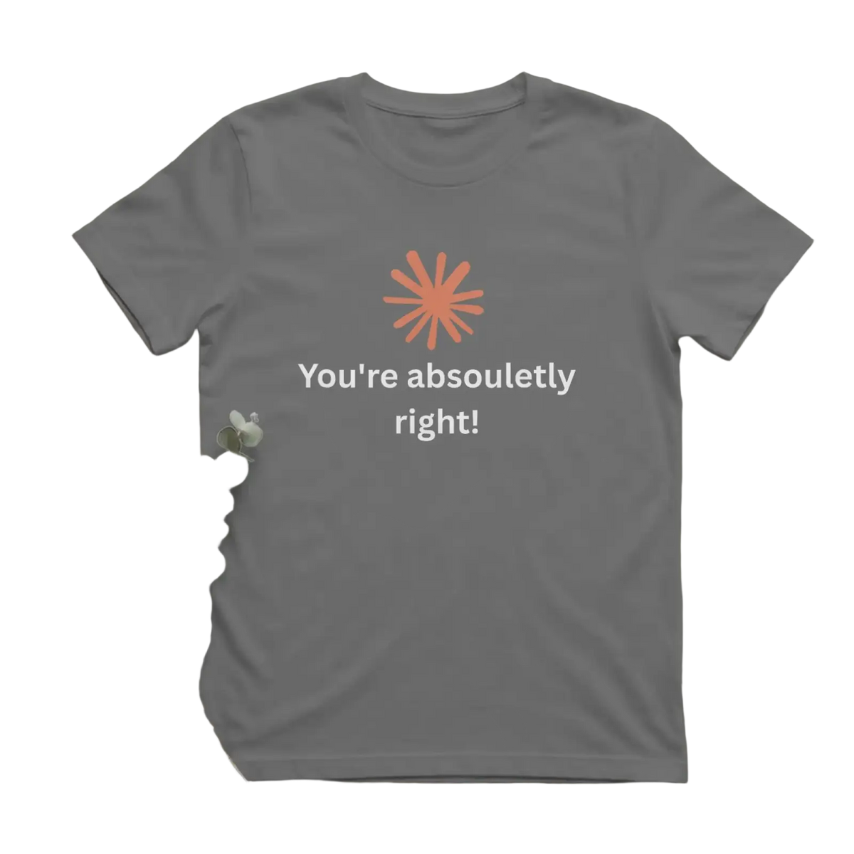 Gray cotton funny quote men’s t-shirt with an orange starburst graphic and you are absolutely right text in white
