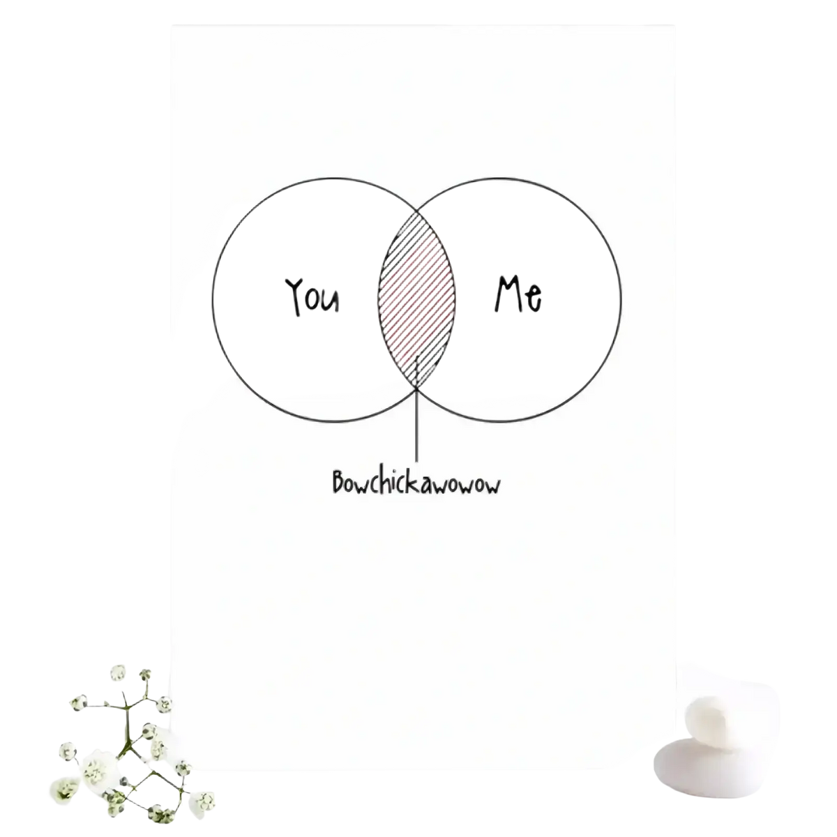 White valentine card featuring a venn diagram with you and me circles overlapping in pink stripes for couples labeled bowchickawow