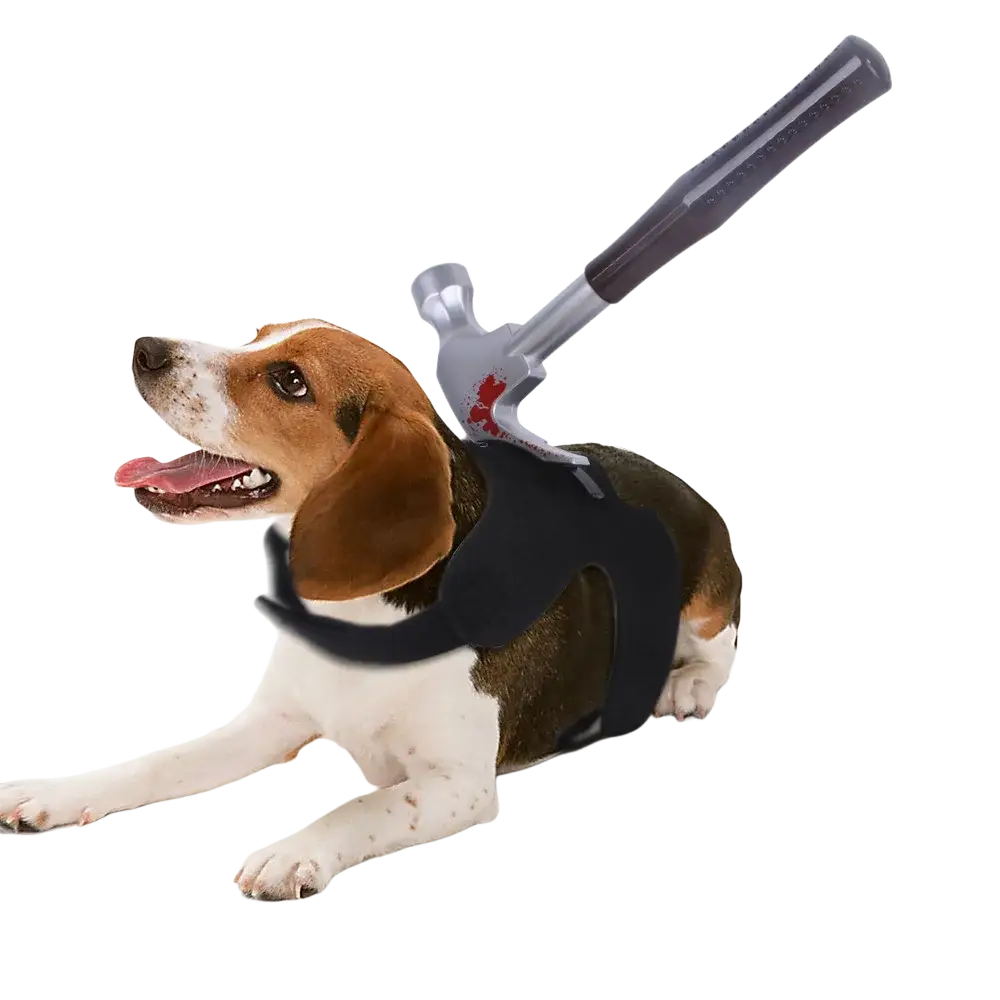 A beagle wearing a black harness with a toy hammer strapped to the back featuring 3-10cm adjustment for halloween