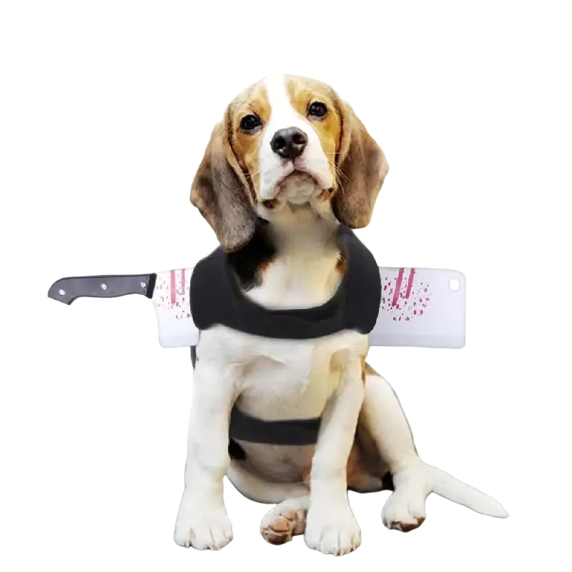 A beagle puppy wearing a black harness with a white cleaver and red splatter details showing 3-10cm adjustment