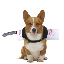 Corgi dog wearing a black neck harness with a white plastic cleaver featuring red splatter design and 3-10cm adjustment