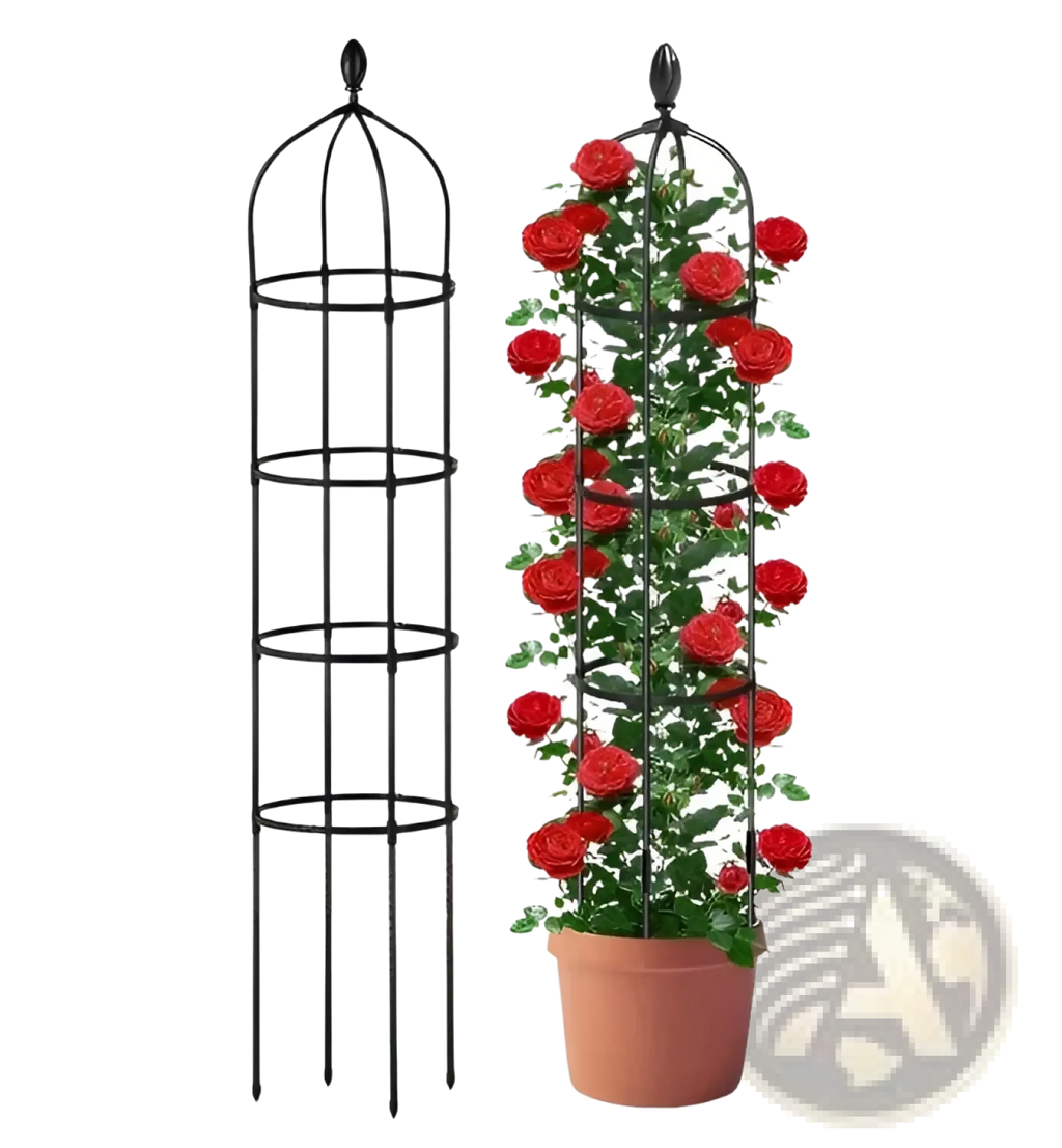 Black wrought iron garden obelisk trellis 2 pack 5.9ft metal plant towers with decorative top and tiered rings shown empty and with rose bush