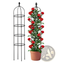 Black wrought iron garden obelisk trellis 2 pack 5.9ft metal plant towers with decorative top and tiered rings shown empty and with rose bush