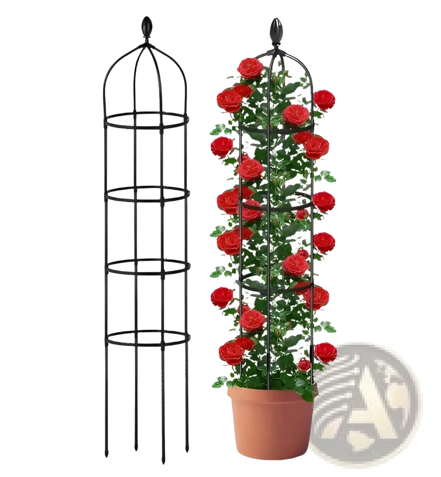 Black wrought iron garden obelisk trellis 2 pack 5.9ft metal plant towers with decorative top and tiered rings shown empty and with rose bush