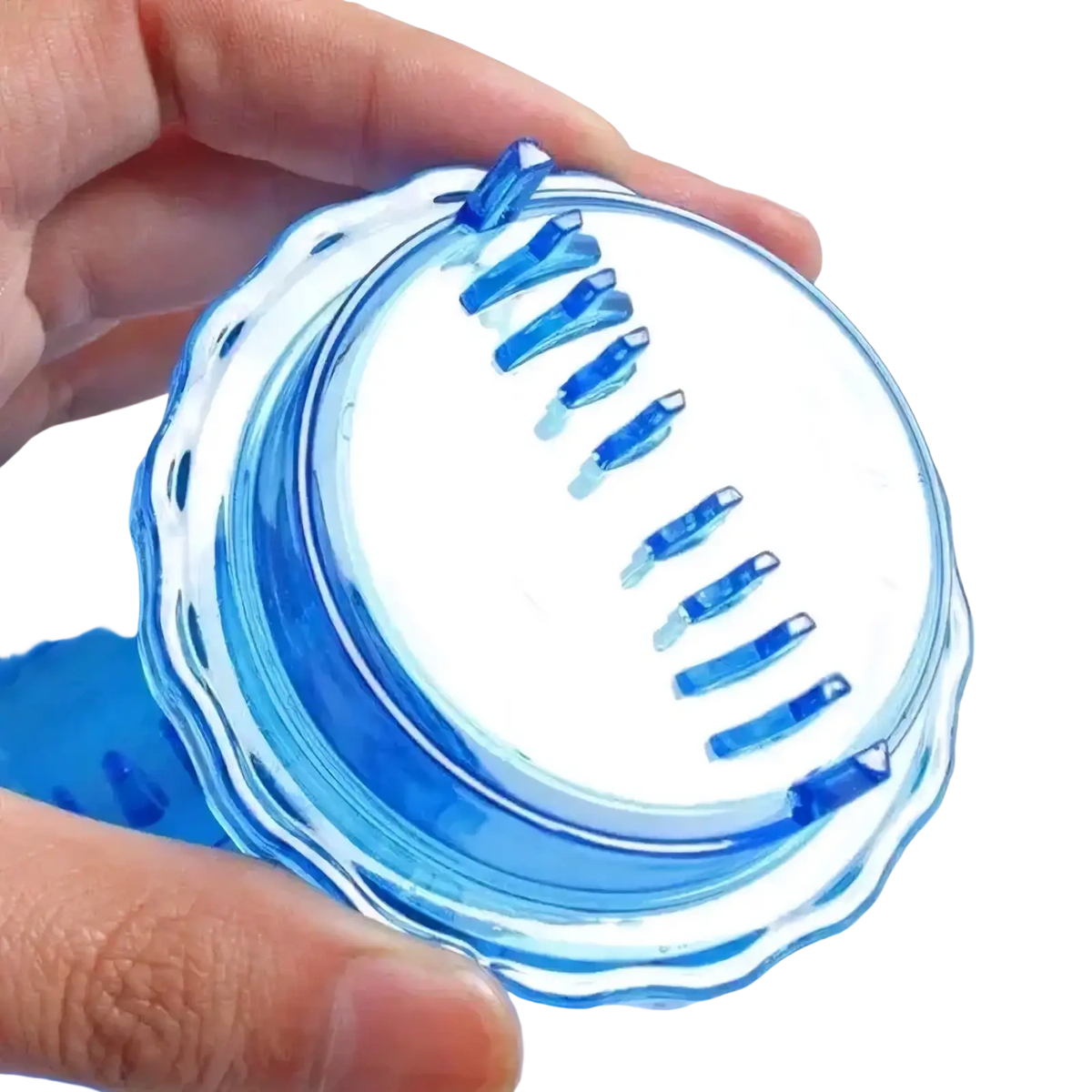 Blue translucent plastic lid with scalloped edge and small clips for garlic press manual multifunctional kitchen tool