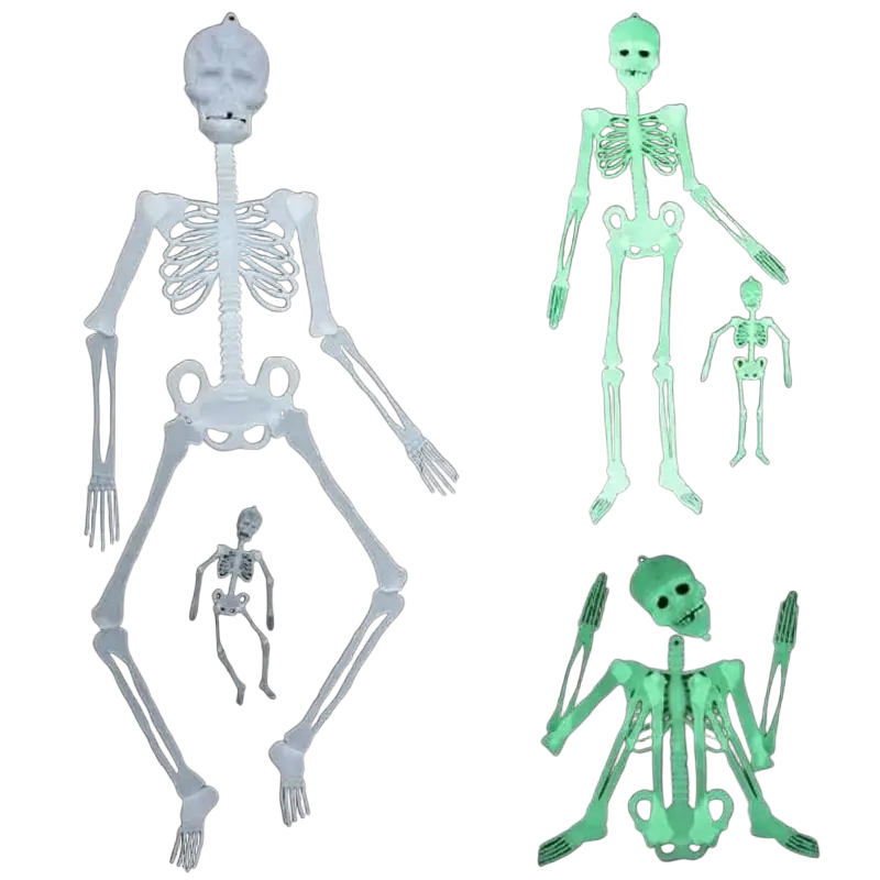 Glow in the dark plastic skull skeleton halloween props in white and green for haunted house decoration with large figure holding small