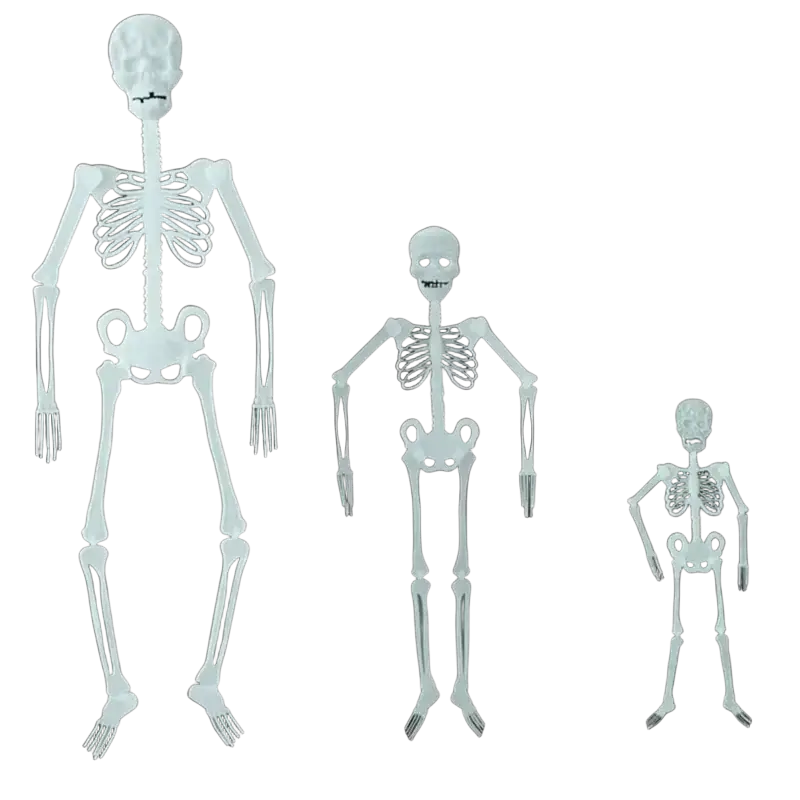 Three white plastic glow in the dark skull skeleton halloween props in sizes 150cm 90cm and 30cm for haunted house decor