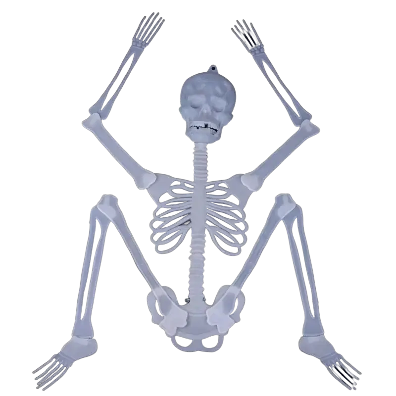 Translucent white plastic glow in the dark skull skeleton with articulated limbs halloween props for haunted house decor