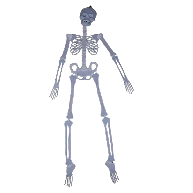 Glow in the dark translucent white plastic skull skeleton halloween props with loop for hanging in haunted house decor