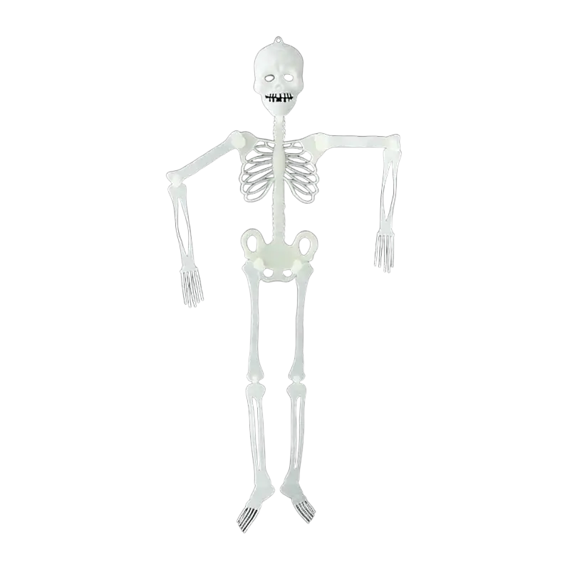 Glow in the dark skull skeleton halloween props featuring a white luminous skeleton with articulated joints for haunted house decoration