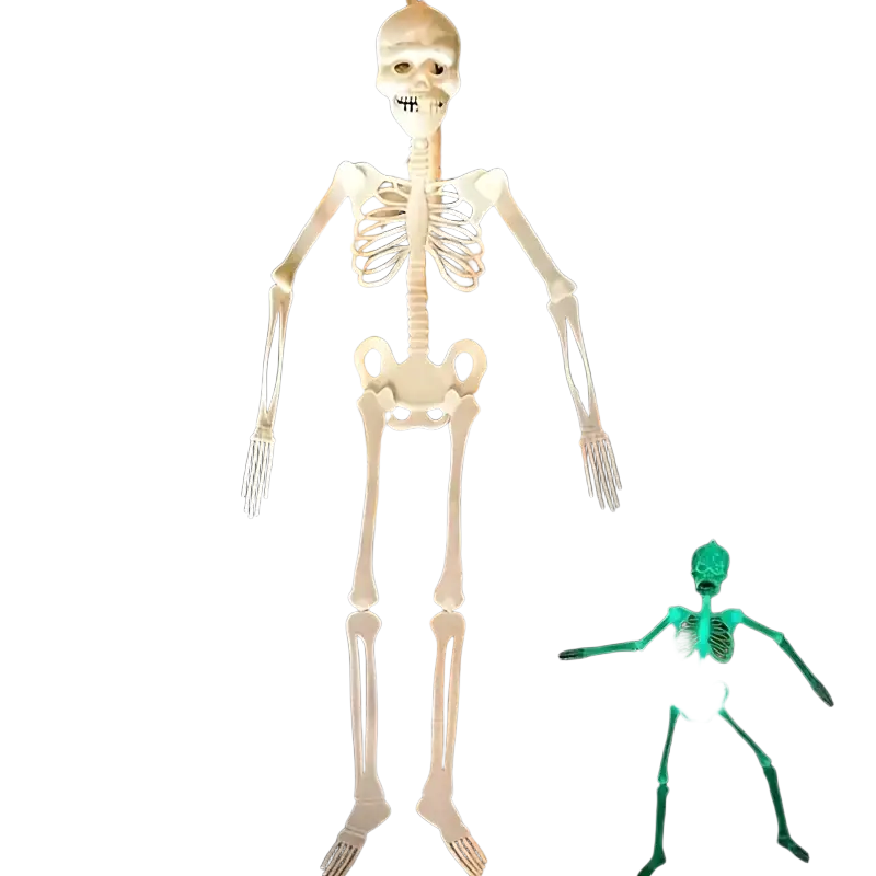 A white plastic glow in the dark skull skeleton hanging from a tree branch halloween props for haunted house decor