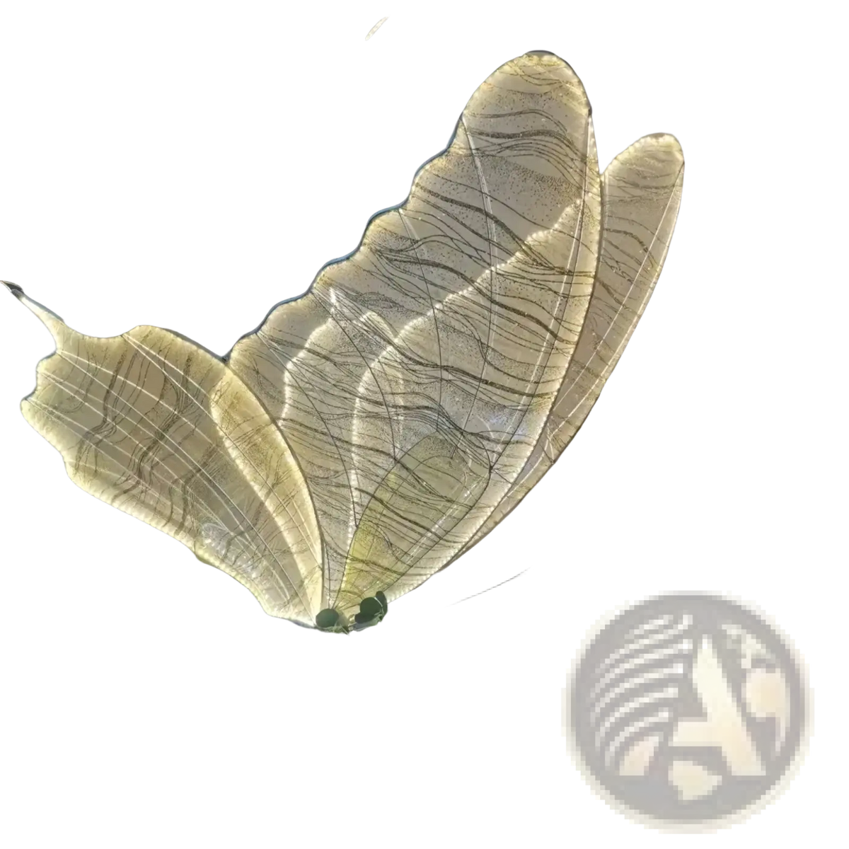 Large glowing butterfly wings hanging wedding stage light with translucent veins and intricate internal lighting design