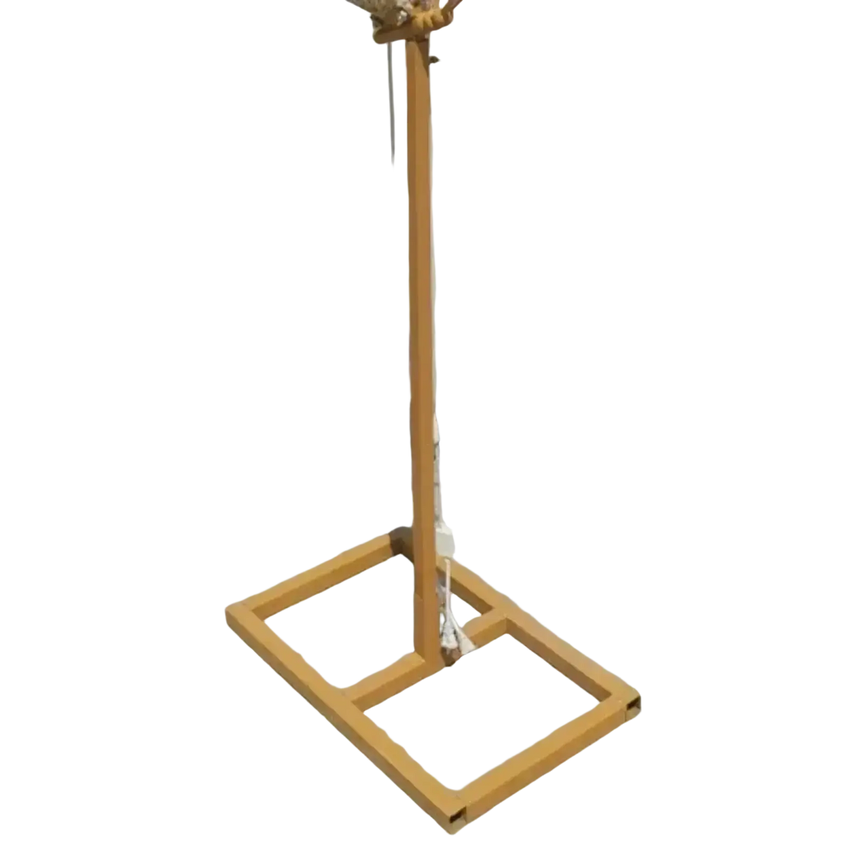 Tan metal stand with square base and mechanical device for glowing butterfly wings wedding stage light installation