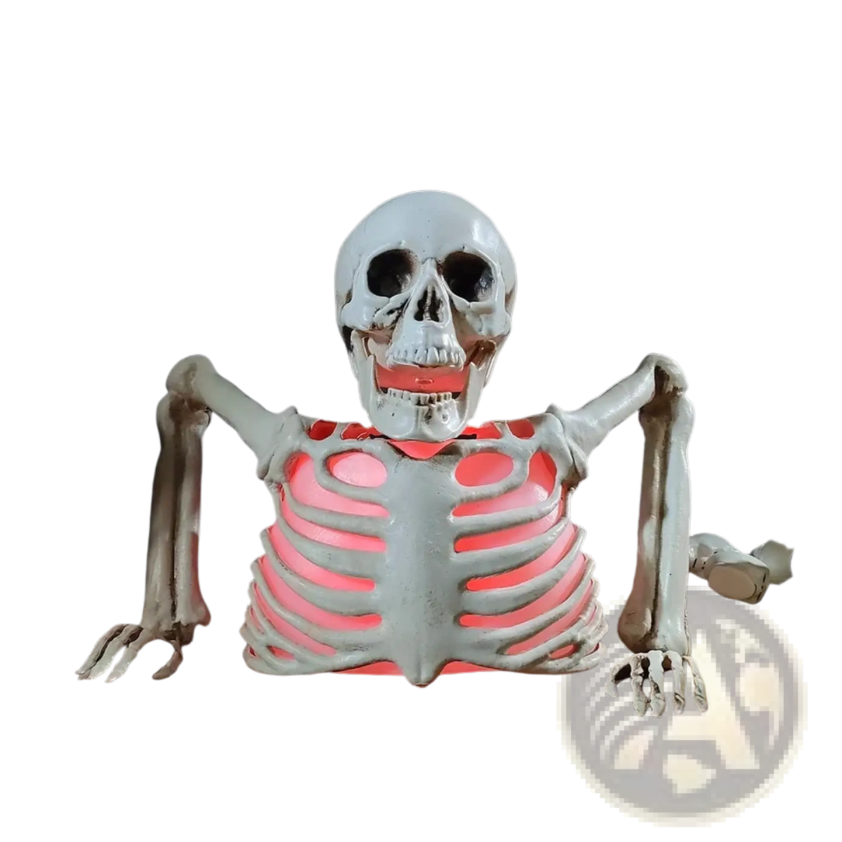 Glowing skeleton halloween prop with a white plastic finish and glowing pink led articulated torso for decoration