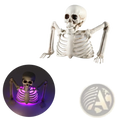 A white plastic glowing skeleton halloween prop with purple led lights illuminating its ribcage