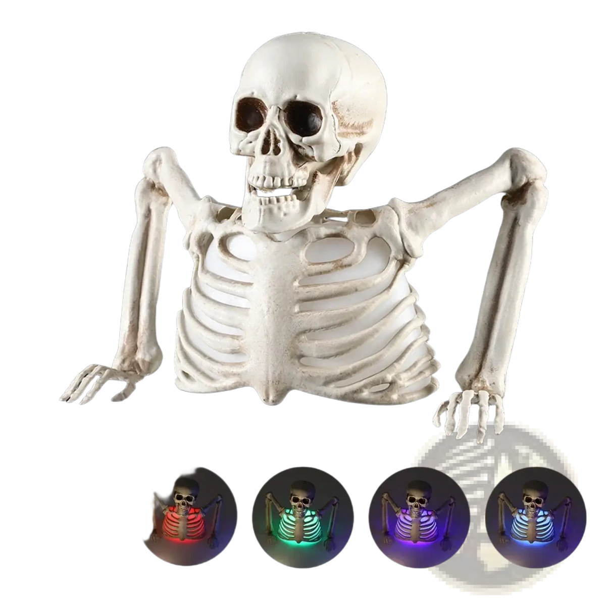 White plastic skeleton halloween prop with glowing multicolor ribcage for festive decoration and display