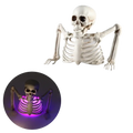 A white plastic glowing skeleton halloween prop with purple led lights illuminating its ribcage