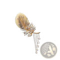 Gold feather pearl tassel brooch with sparkling crystals and dangling white pearls in gold-tone metal