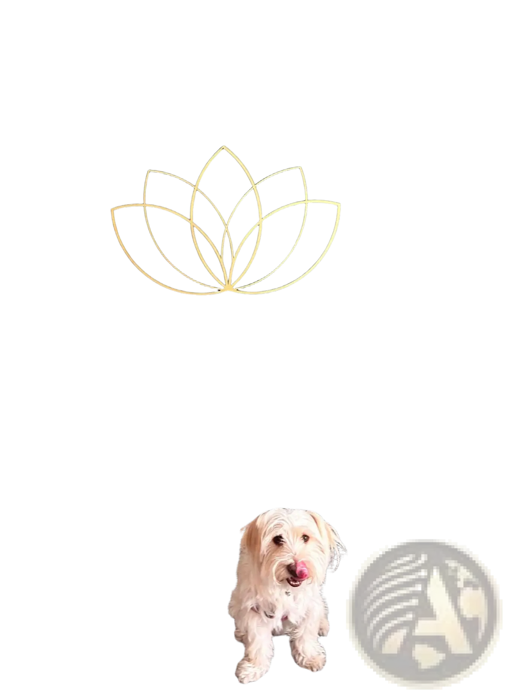 Gold lotus flower metal wall art featuring a modern zen design in gold metal for elegant home decor