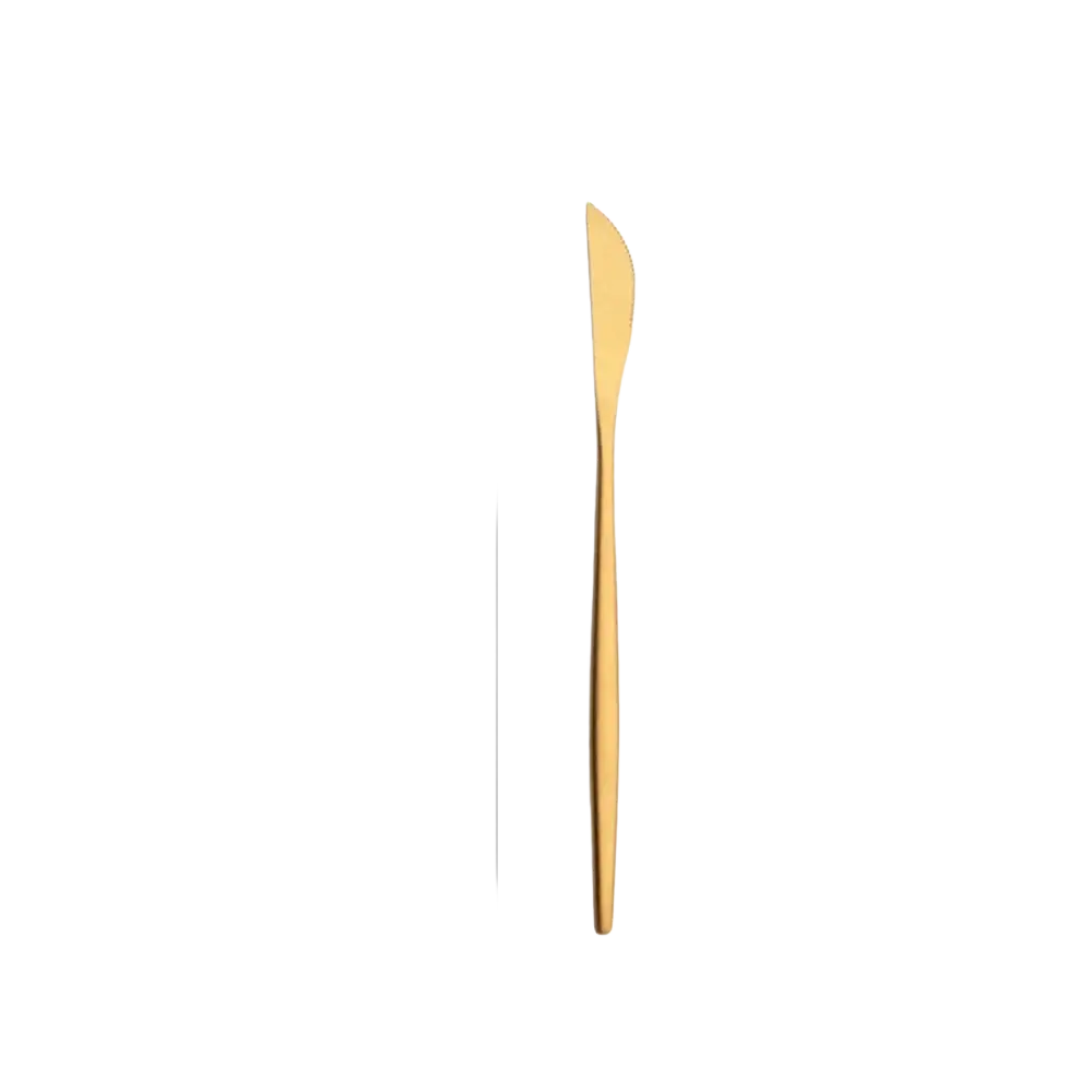 A sleek 19.6cm gold matte stainless steel butter knife with polished finish and slender handle from flatware set