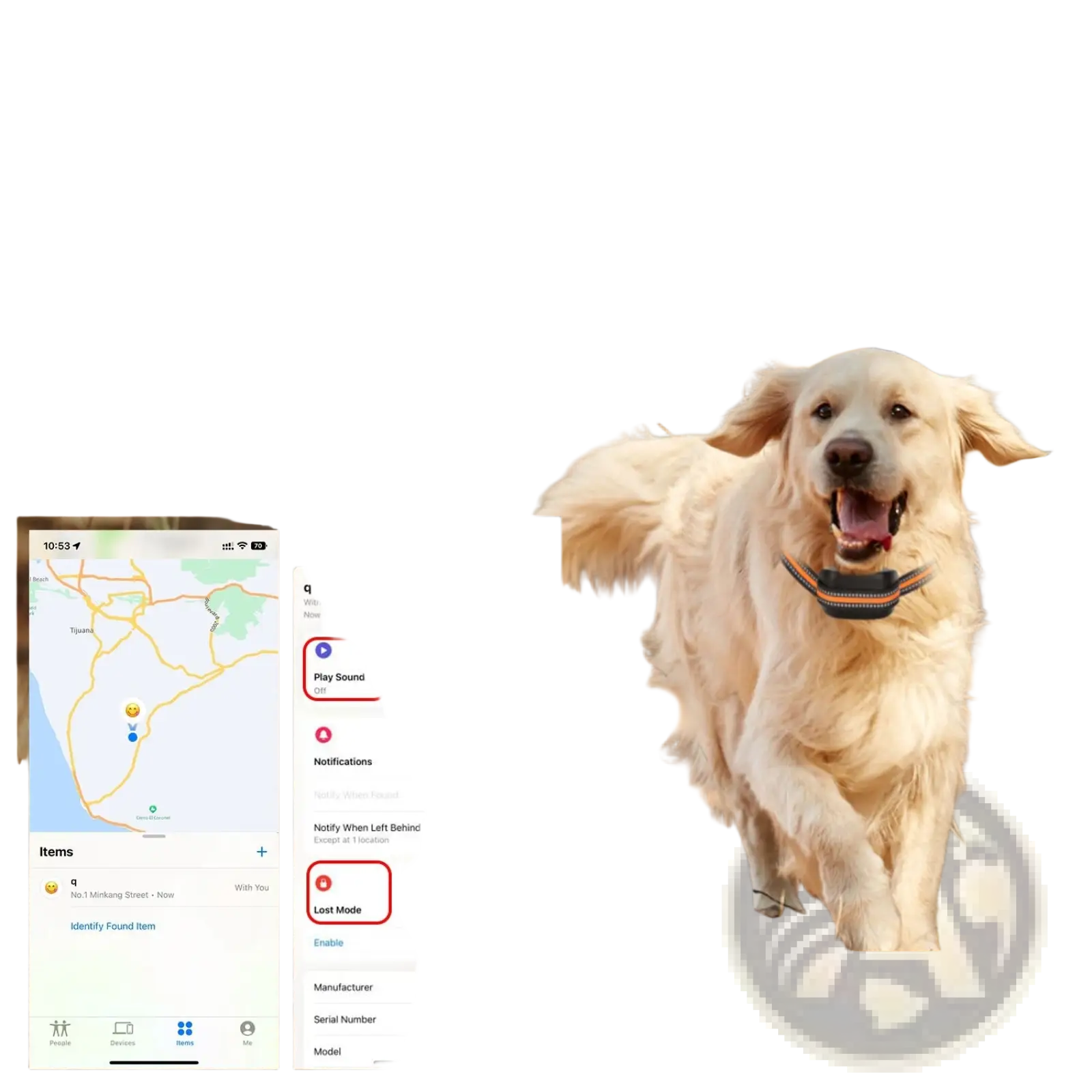 Black and orange waterproof dog collar with gps tracking for wireless dog fence and tracker system