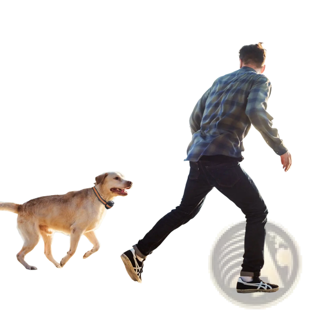 A man in a blue plaid shirt runs on the beach with a yellow labrador wearing a waterproof gps wireless dog fence collar