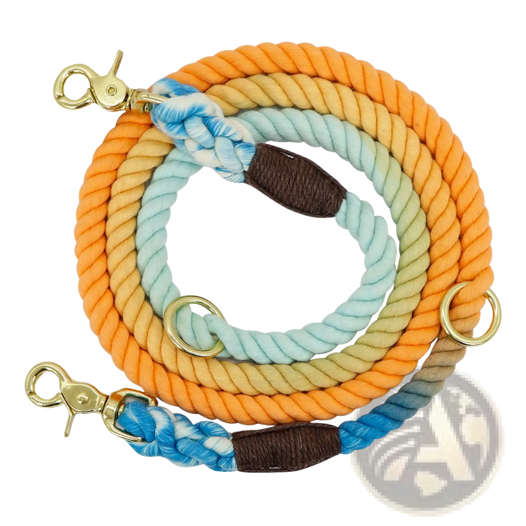 Gradient dog leash braided rope featuring colorful orange and blue sections with gold metal hardware and leather accents