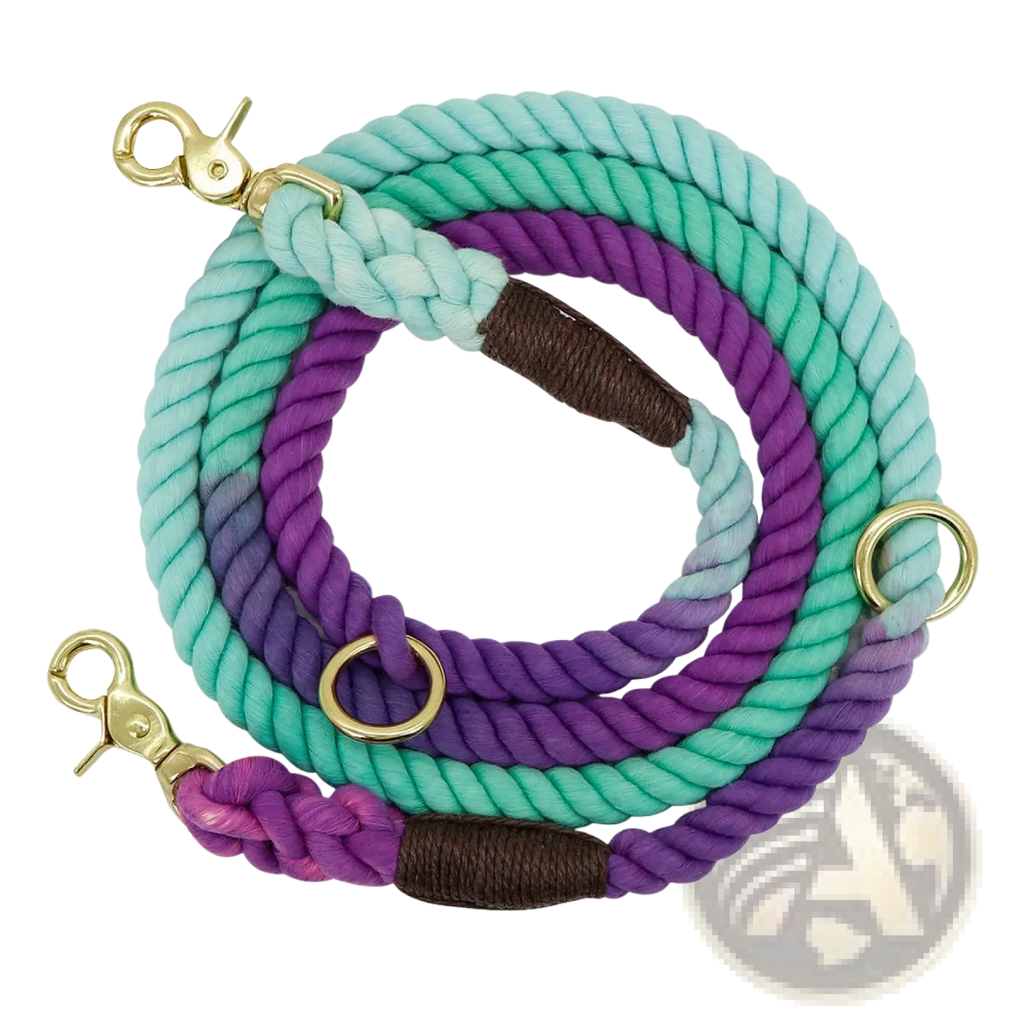A coiled gradient dog leash braided rope training lead in teal to purple with brown leather and gold metal hardware