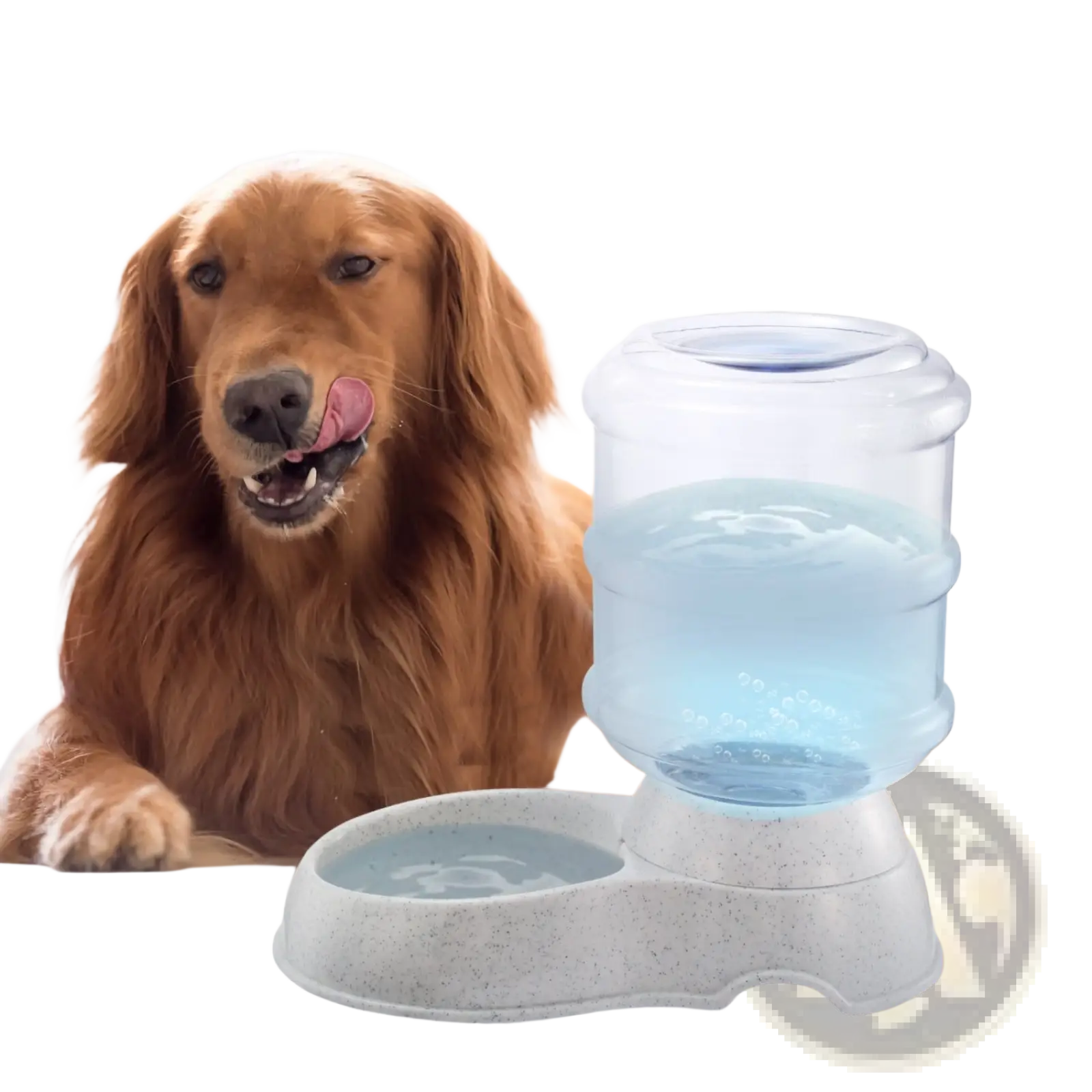 Clear plastic gravity pet water dispenser with gray speckled base and blue liquid inside 3.5l automatic waterer