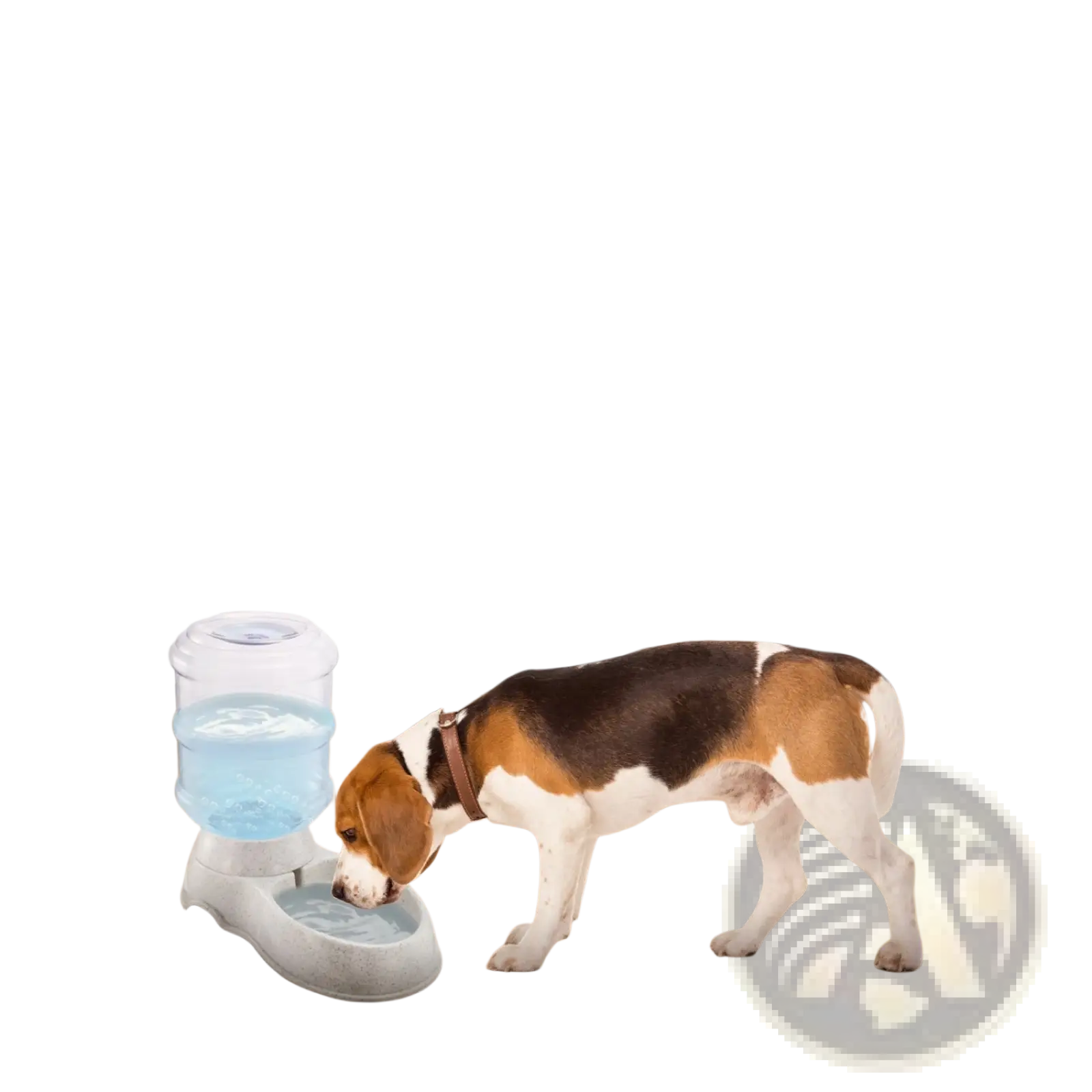 Transparent gravity pet water dispenser with blue reservoir and gray base automatic 3.5l waterer for pets