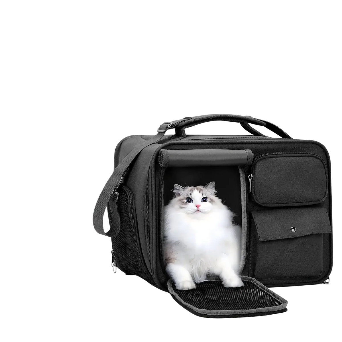 Black breathable pet carrier travel bag with multiple compartments and waterproof design for small cats and dogs