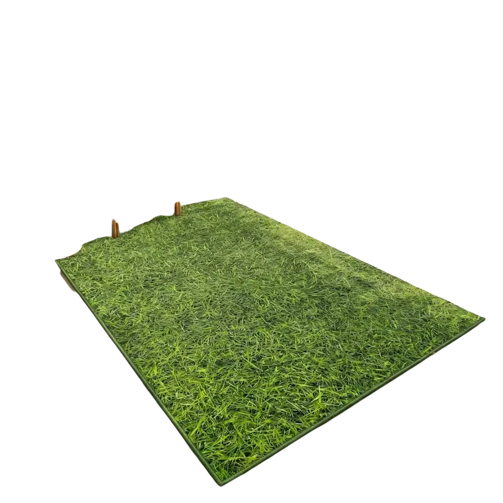 Green grass door mat featuring artificial grass material designed for living room use and hand wash care