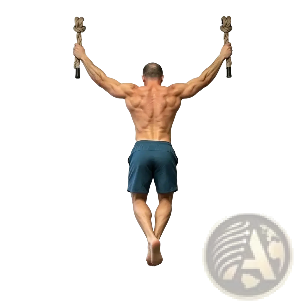 A muscular man performing a pull-up using black metal grip training rope handles set for strength training