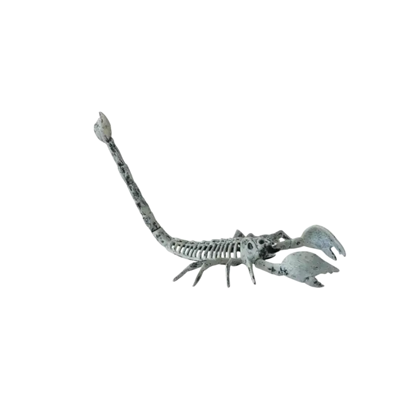A 15cm by 24cm gray scorpion skeleton figurine with textured weathered finish in halloween animal decoration set