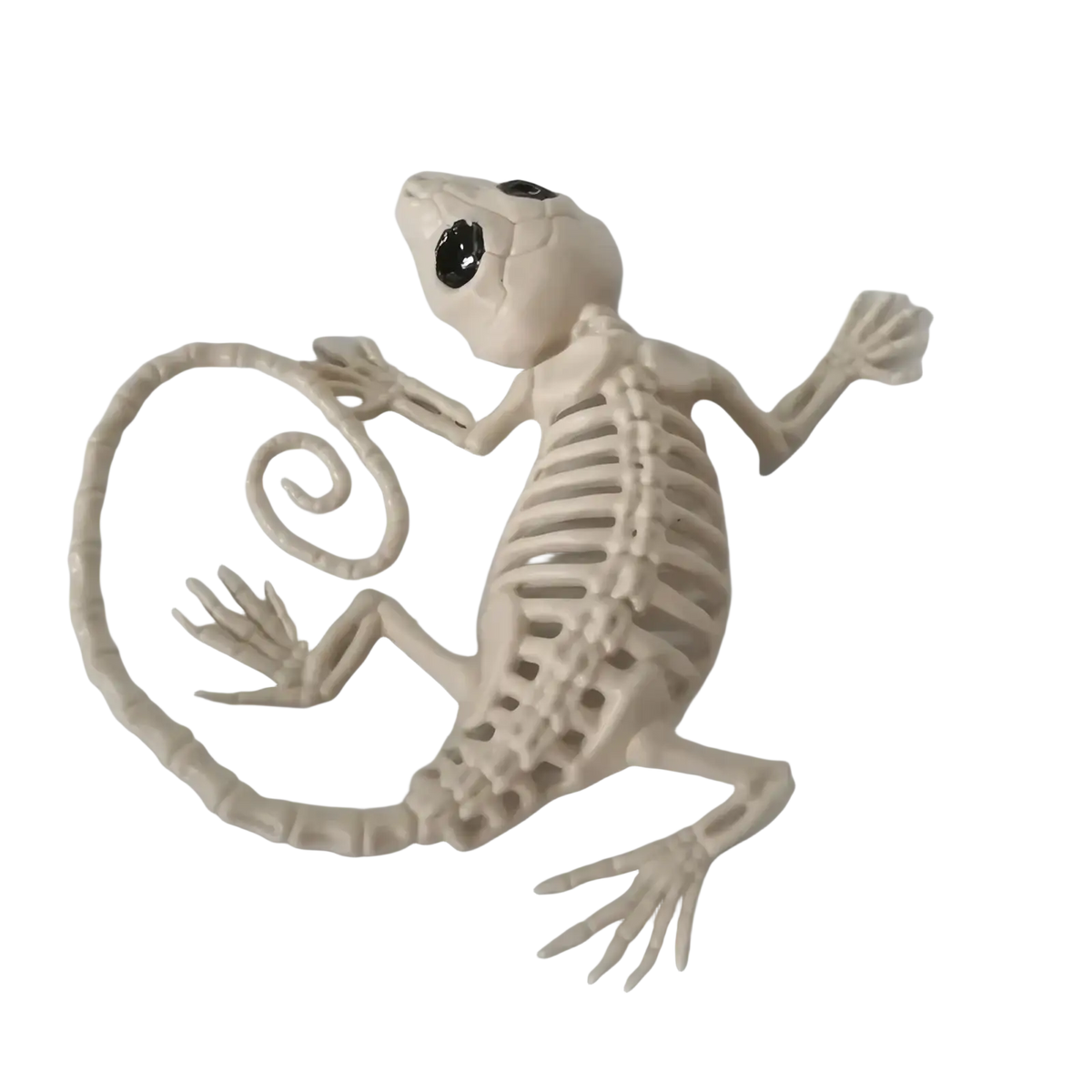 Beige plastic lizard skeleton ornament with black glossy eyes and coiled tail from halloween animal skeleton props set