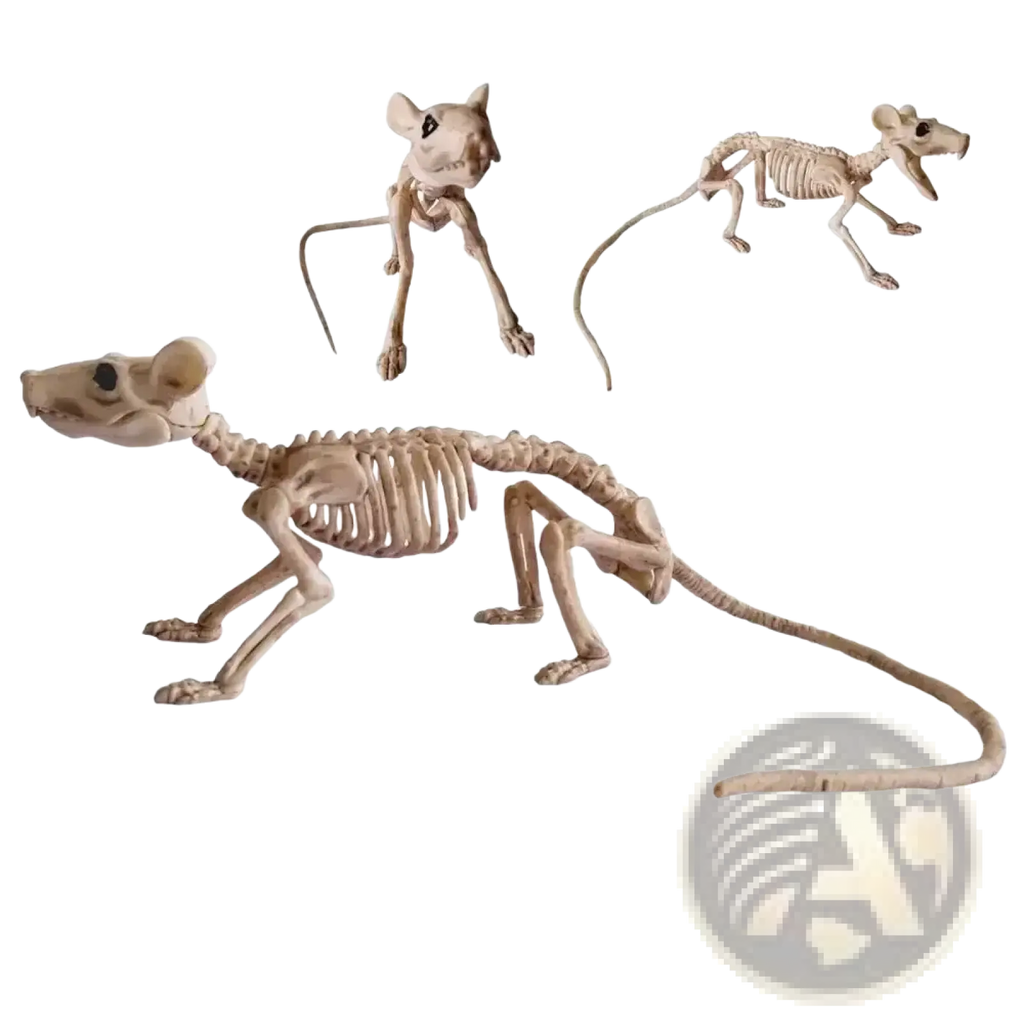 Beige plastic mouse skeletons in various poses from the halloween animal skeleton props set for decoration