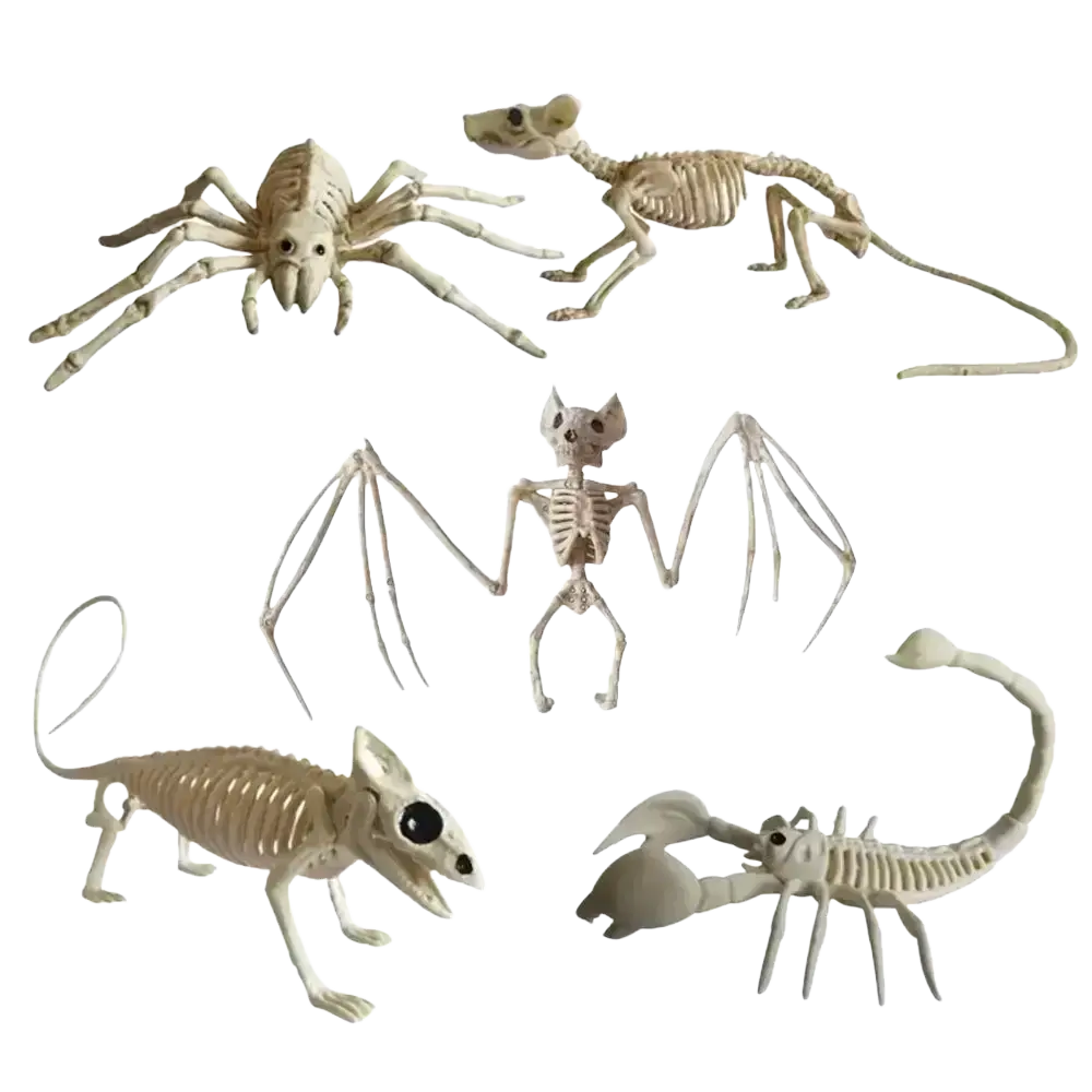 Set of five beige plastic halloween animal skeleton figurines including spider cat bat rat and scorpion props