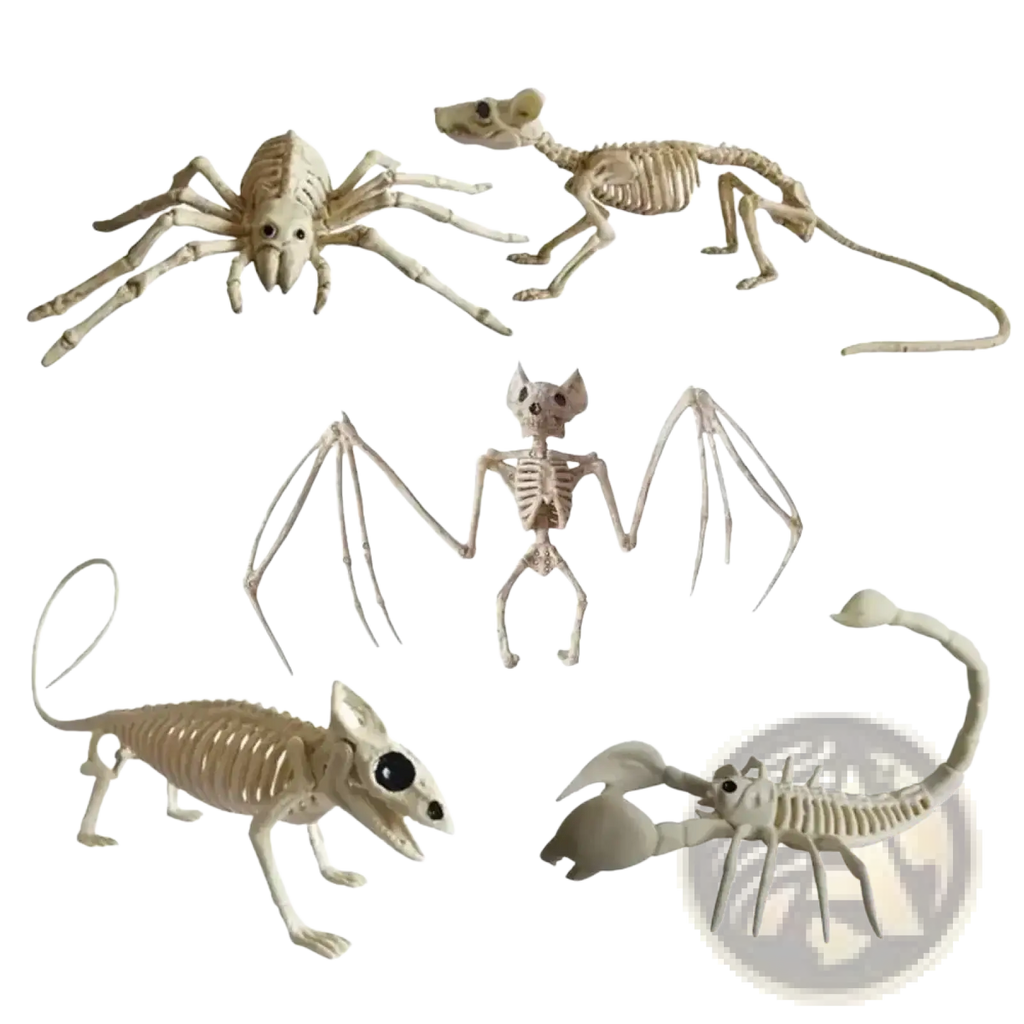 Set of five beige plastic halloween animal skeleton props including spider mouse bat chameleon and scorpion
