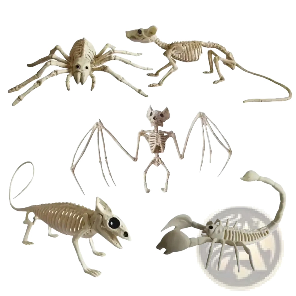 Set of five beige plastic halloween animal skeleton props including spider mouse bat chameleon and scorpion