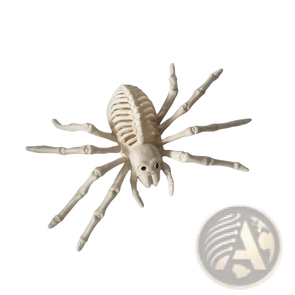 White plastic skeleton spider toy with articulated legs and black bead eyes from halloween animal skeleton props set