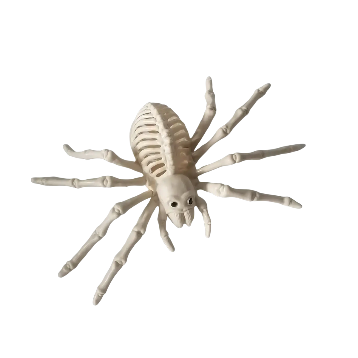 White plastic skeleton spider toy with articulated legs and black bead eyes from halloween animal skeleton props set