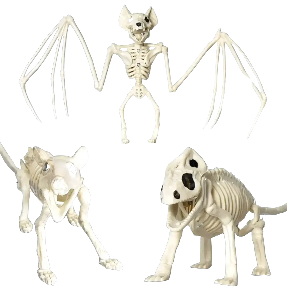 White plastic halloween animal skeleton props set featuring bats and rodents in various poses for decoration