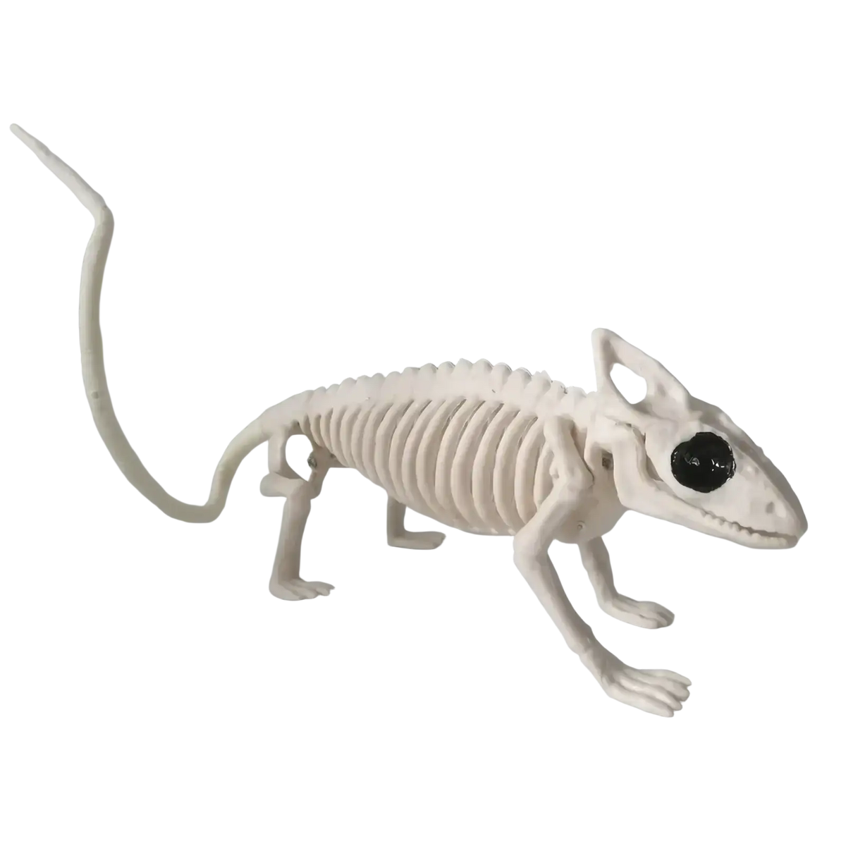 White plastic chameleon skeleton toy with black eye and detailed bone structure halloween animal skeleton prop