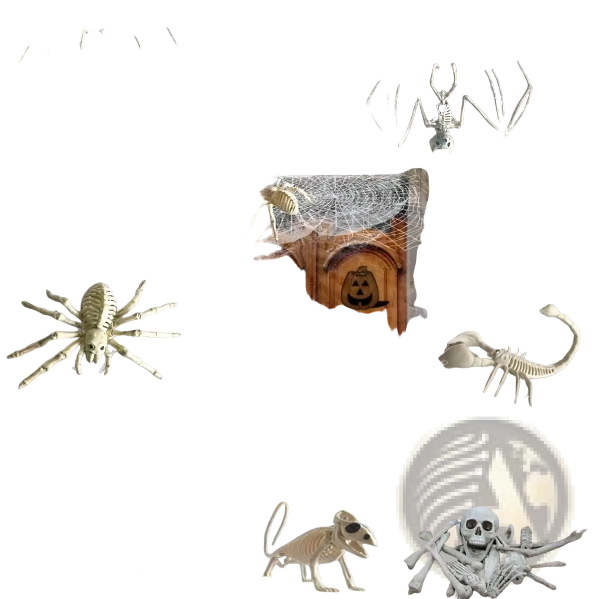 Wooden double doors with skull and pumpkin decals from halloween animal skeleton props set for seasonal decoration
