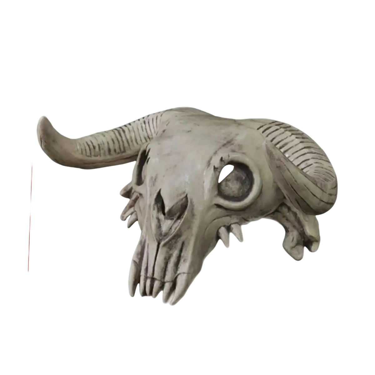 Gray resin ram skull headpiece cosplay mask measuring 33cm wide and 30cm tall for halloween cosplay mask use