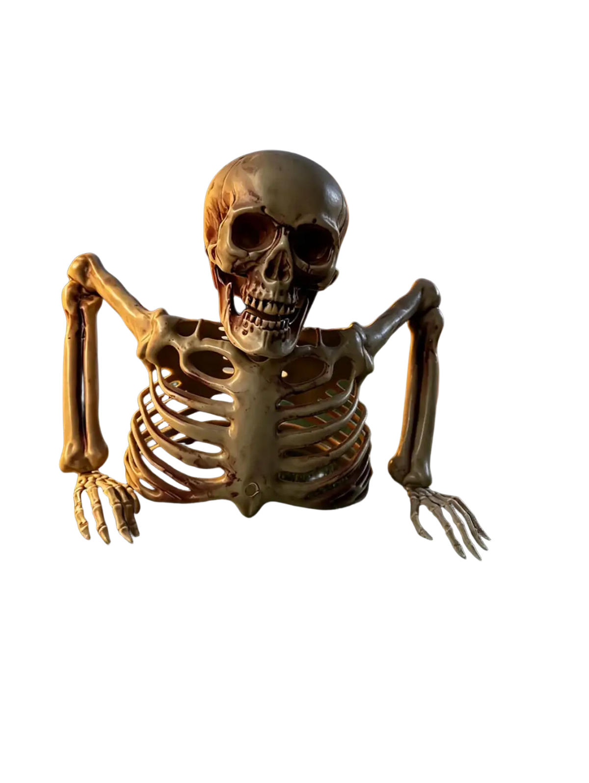 Beige plastic halloween half skeleton decoration with detailed bone structure and articulated limbs for terrifying scenes