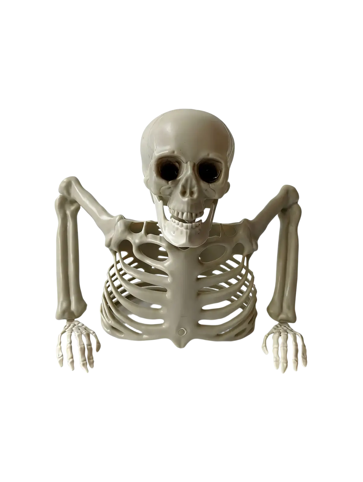 Beige plastic halloween half skeleton decoration with articulated arms posed leaning forward for terrifying scene