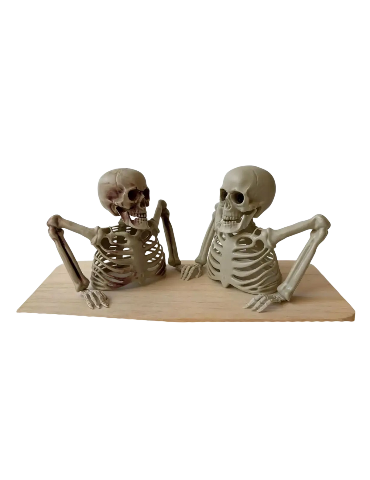 Two beige plastic skeleton decoration figurines seated on a wooden base for halloween half skeleton terrifying scenes