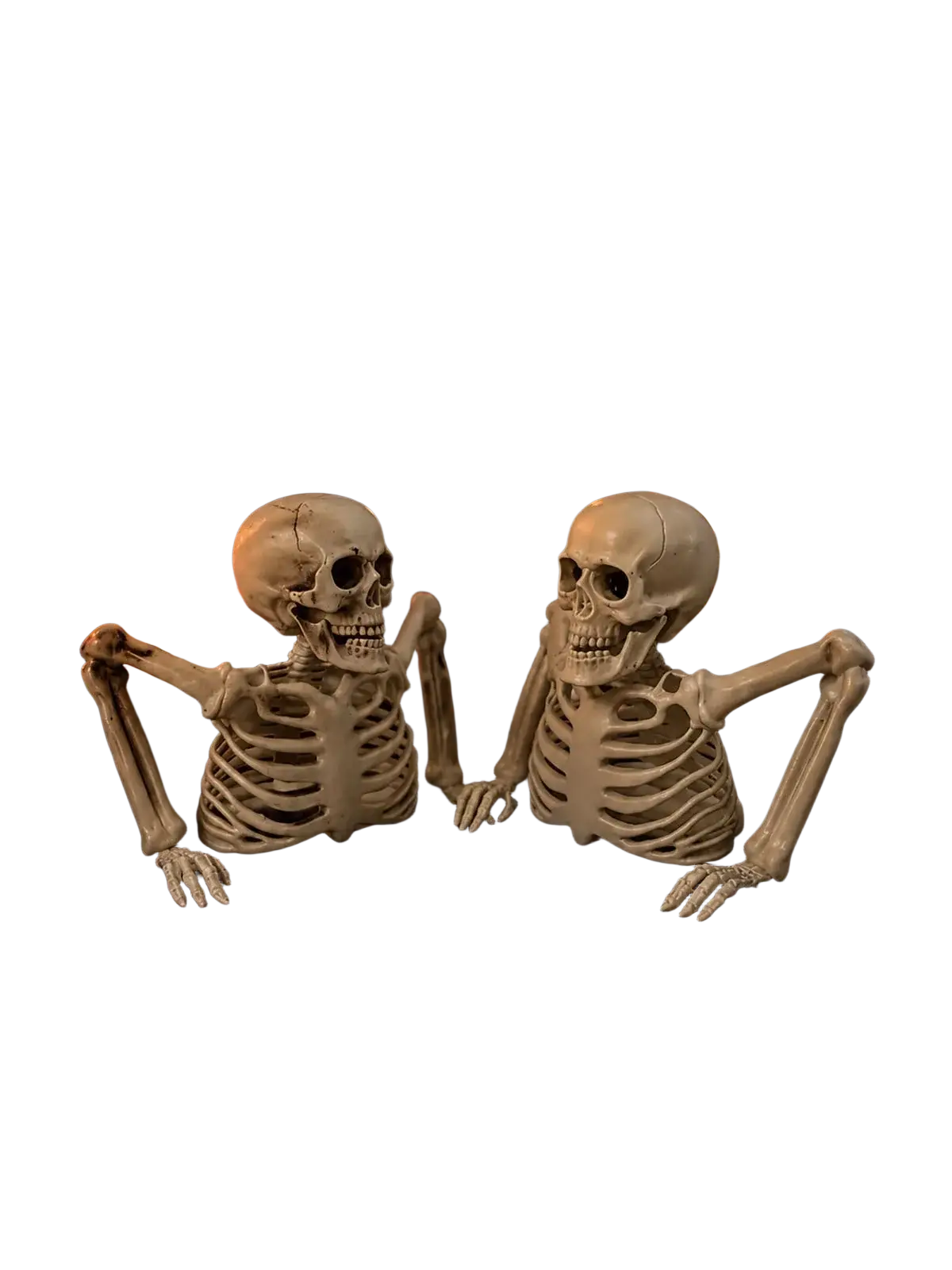 Two beige plastic halloween half skeletons with articulated limbs posed sitting as skeleton decoration for terrifying scene