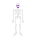 A glittery white plastic skeleton Halloween hanging paper ornament with purple sparkly eyes and mouth for decoration